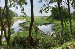 A view of a pond in Majuli, Assam