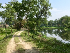 A lane in Majuli, Assam, India, heyloons